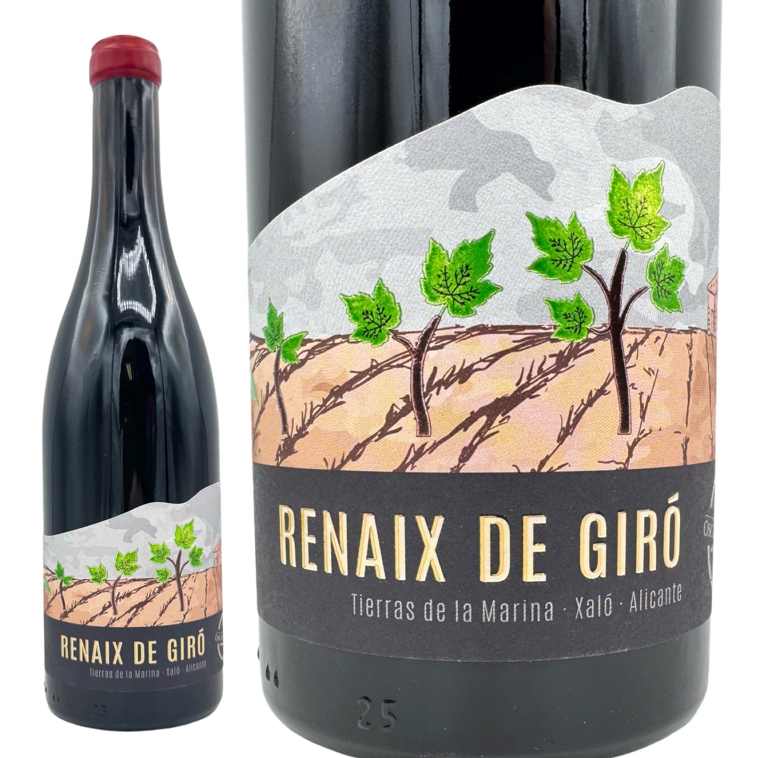 2023 レナイシュ デ ジロ / オスカル メストレ – WINE BROTHERS