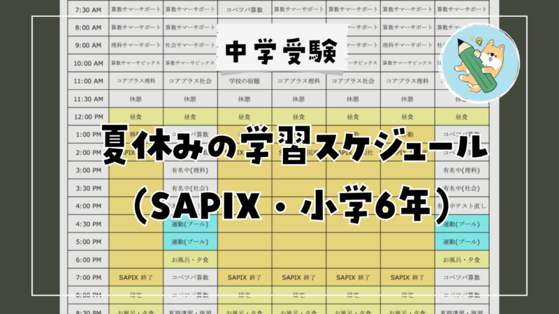中学受験】夏休みの学習スケジュール(6年/SAPIX) | ポチたま中学受験