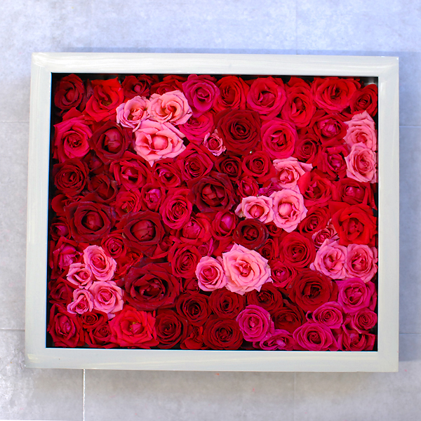 花の保存・バラ108本特注フレーム｜花を長く残す プリザーブドフラワー
