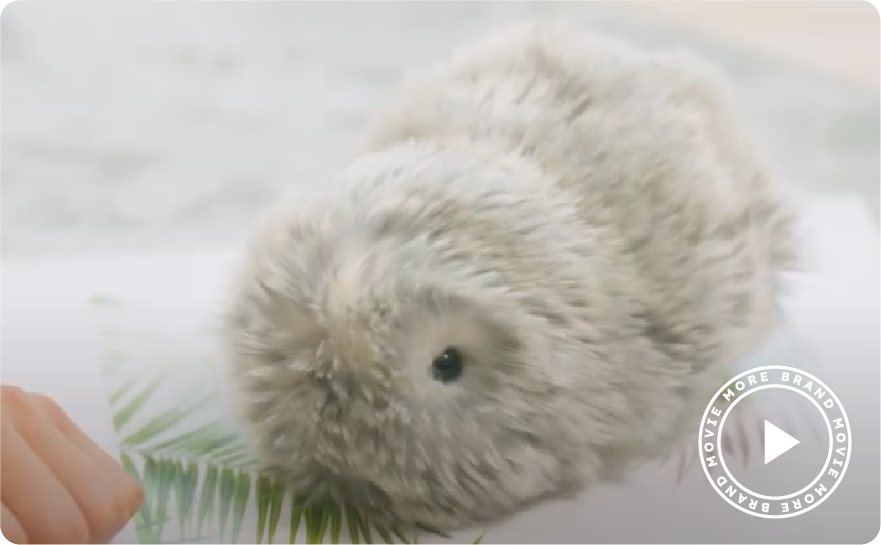 Moflin (モフリン) - 公式ストア | CASIO