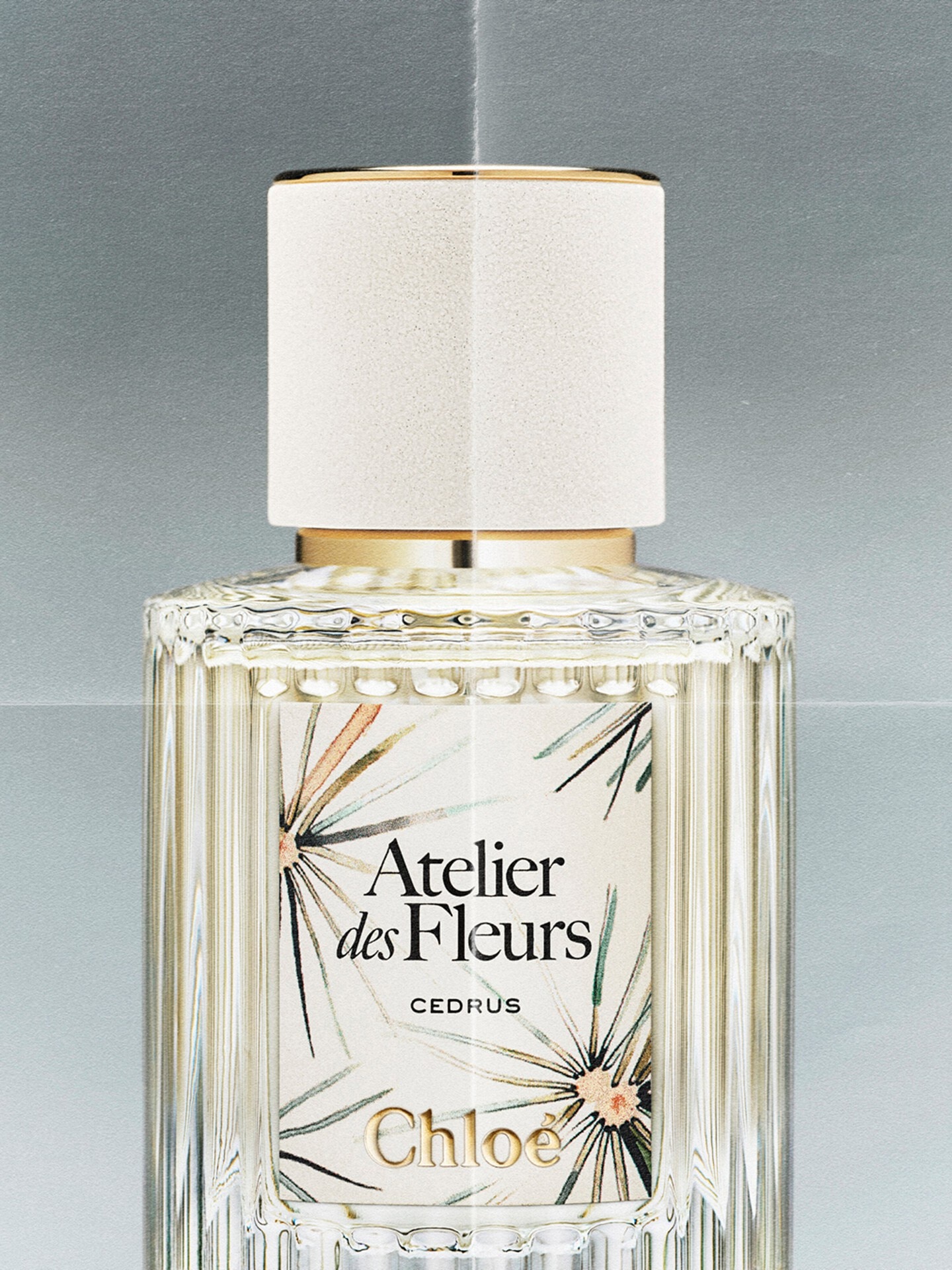 Limited-Edition Atelier des Fleurs Cedrus Eau de Parfum 50 ml - Chloé