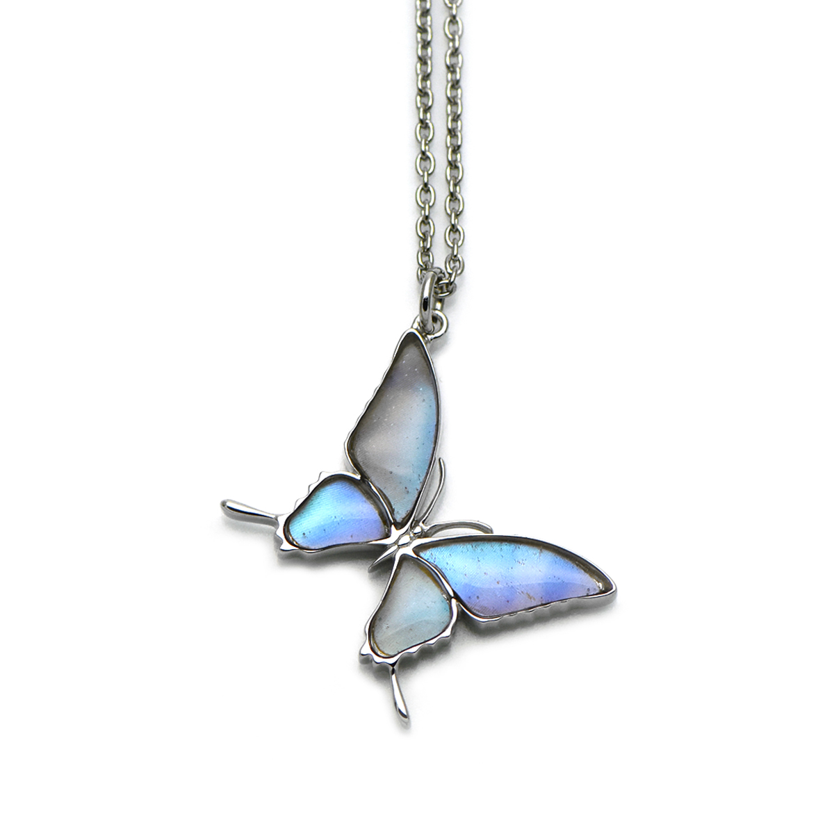 スルコウスキーモルフォ 蝶の翅 シルバー925 ペンダント ネックレス