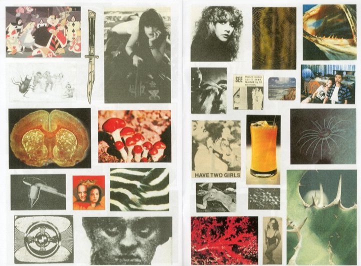 FUCK THIS LIFE / Weirdo Dave | 小宮山書店 KOMIYAMA TOKYO | 神保町