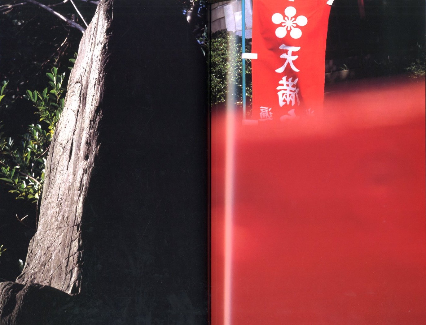 Documentary / 中平卓馬 | 小宮山書店 KOMIYAMA TOKYO | 神保町 古書