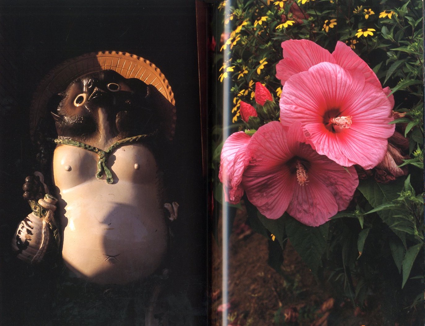 Documentary / 中平卓馬 | 小宮山書店 KOMIYAMA TOKYO | 神保町 古書