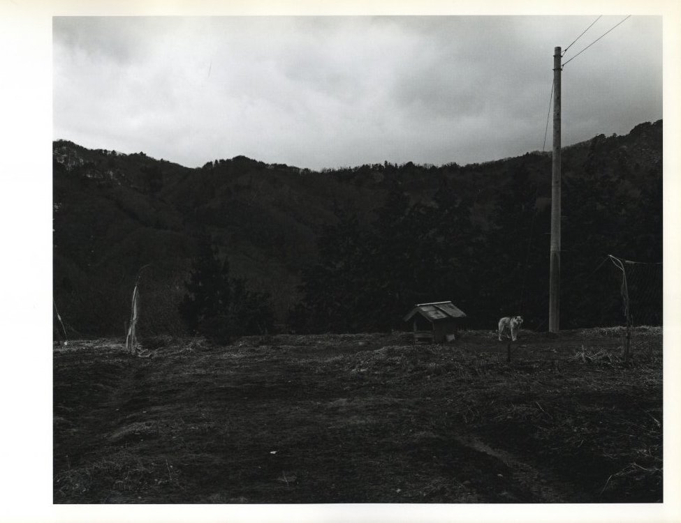 大きな石とオオカミ -通常版- / 写真：村越としや | 小宮山書店