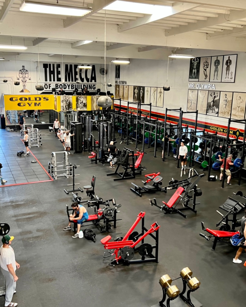 LAフィットネス日記②】ゴールドジムベニス1号店のレポート | 横浜反町