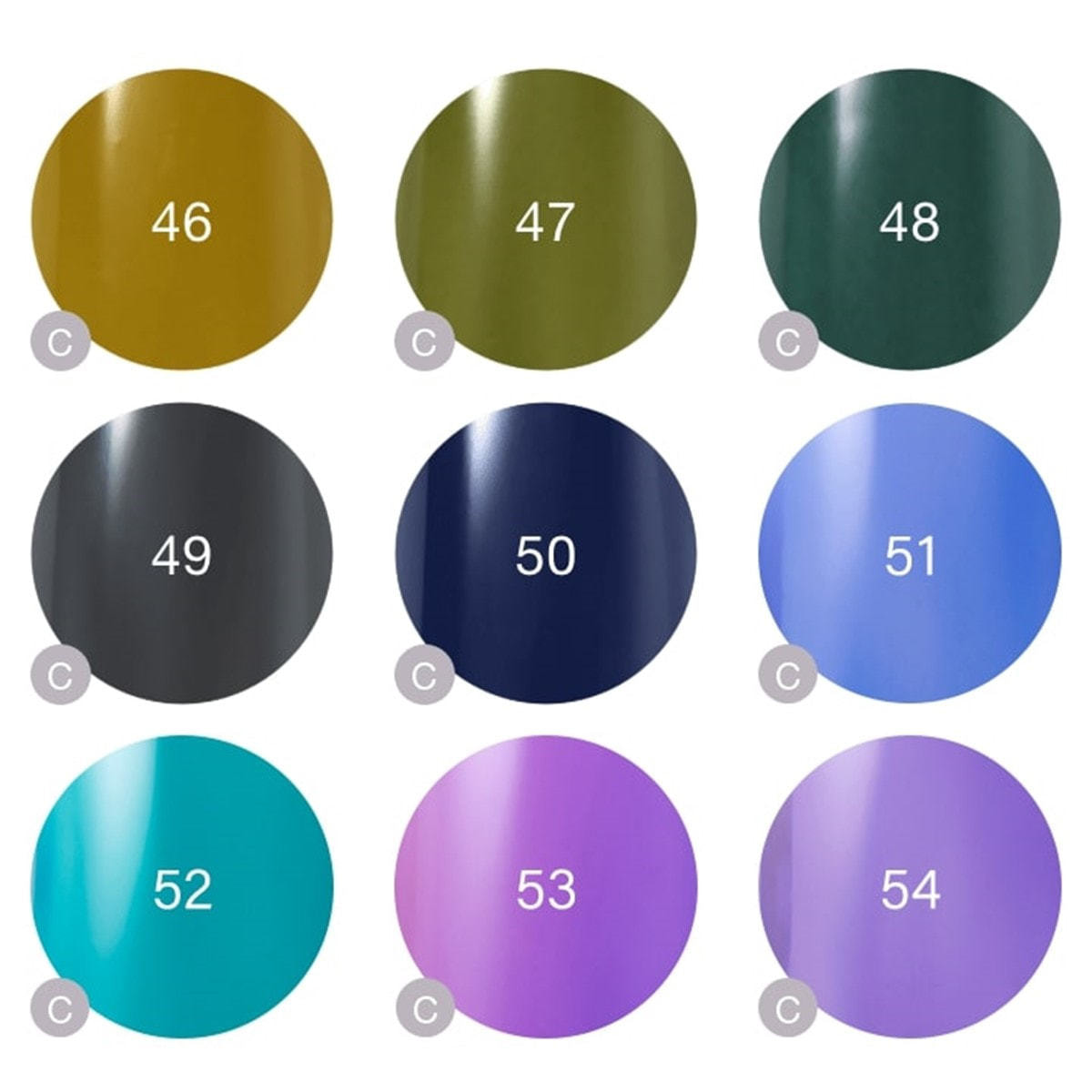 Raygel カラージェル 選べる6色セットの卸・通販 | ビューティガレージ