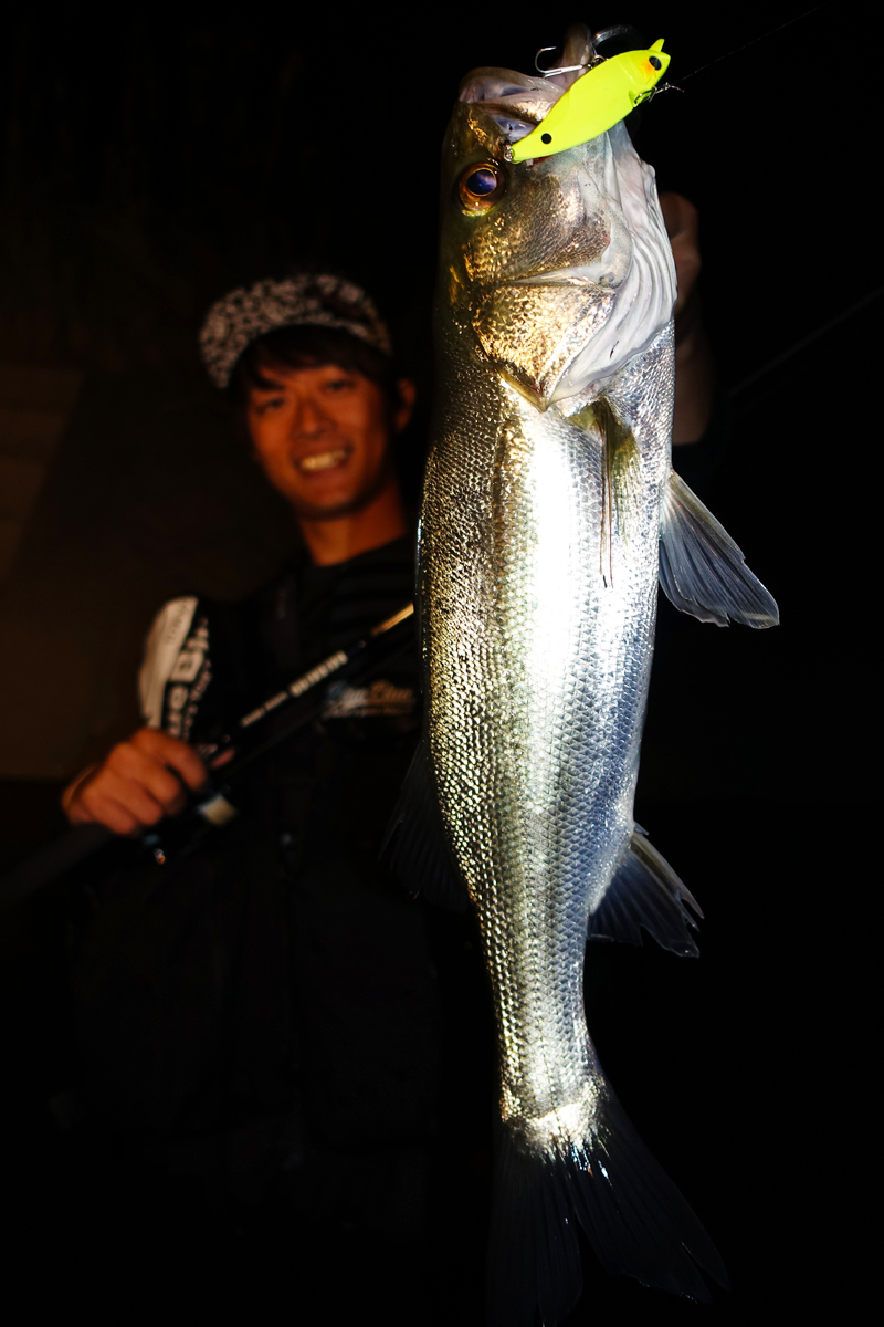 BALBAL99 Jerking Edition | バルバル | ロッド | 製品 | BlueBlue