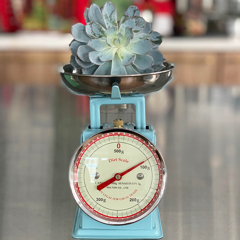 DULTON ONLINE SHOP | DIET SCALE SAX(SAX BLUE): キッチン & ダイニング
