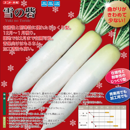 雪の砦[大根] - e-種や｜国内最大級の野菜種・花種・苗・農業資材の販売店
