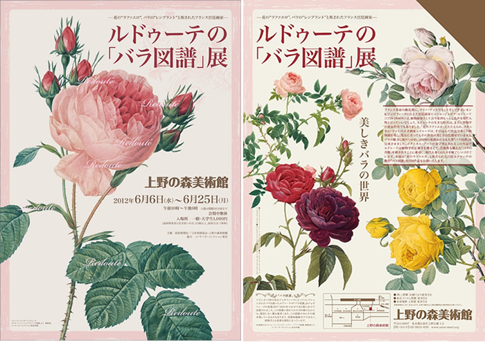 ルドゥーテのバラ Redouteについて - 公式木楽館ブログ｜輸入家具