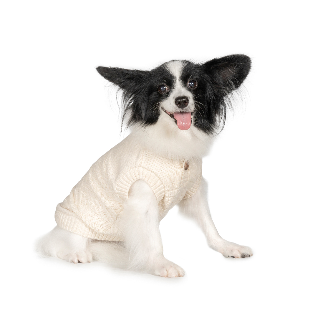 Papillon | meetup | フリーステッチ free stitch