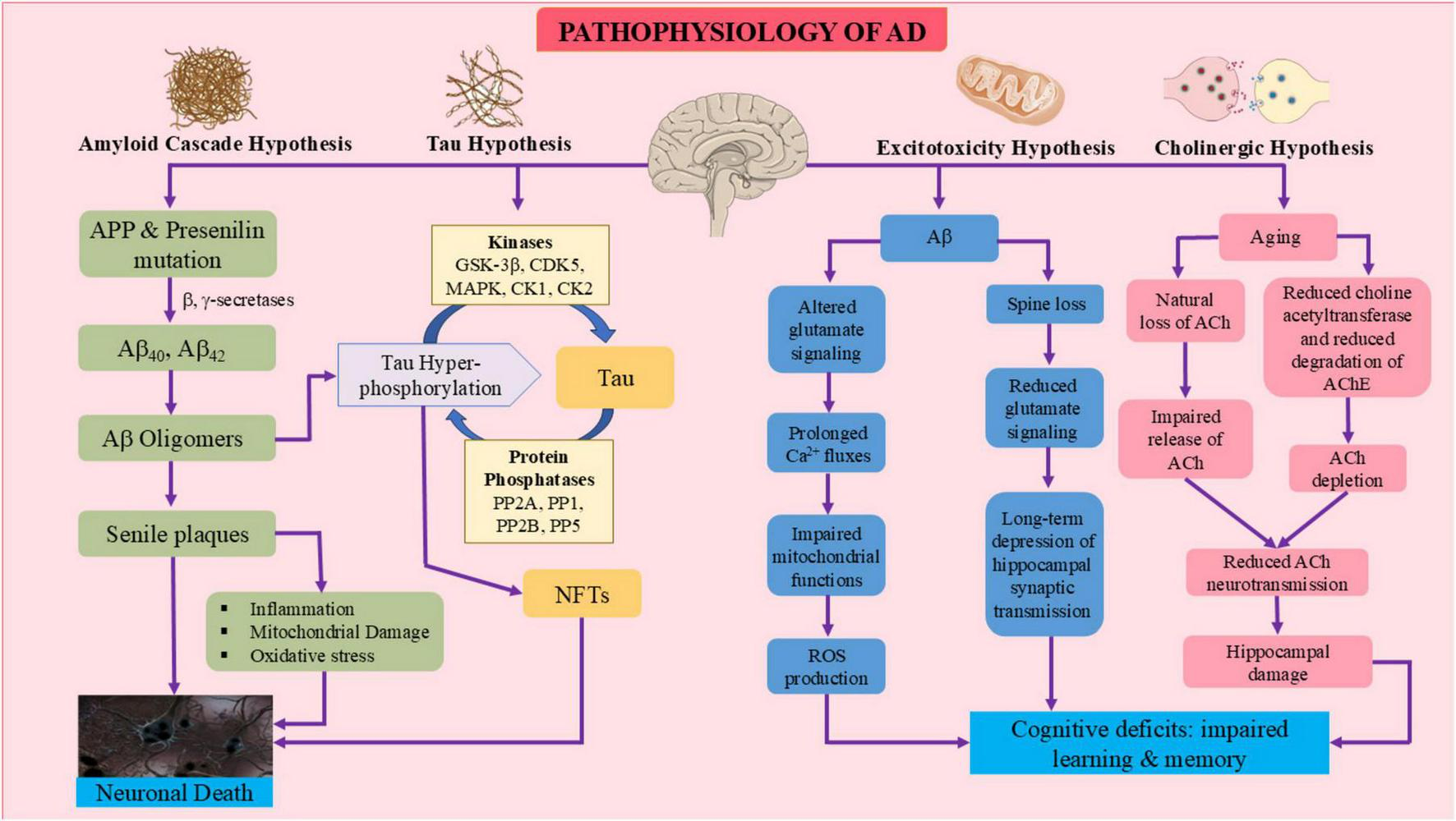 Frontiers | Mechanisms to medicines: navigating drug repurposing