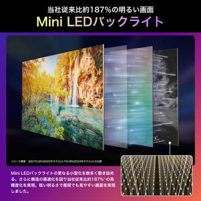 ハイセンス Mini LED液晶テレビ U9Nシリーズ [ 65V型 / Bluetooth対応
