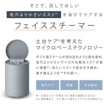 サロニア ピュア ブライト スチーマー SAL22207SL の通販 - カテゴリ