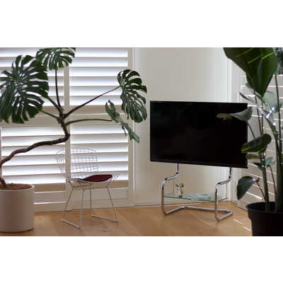 ザイトガイスト 34～60インチ対応 テレビスタンド (壁寄せタイプ