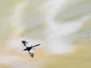 3716289b9ce2e6ffa37b365c6fec1c