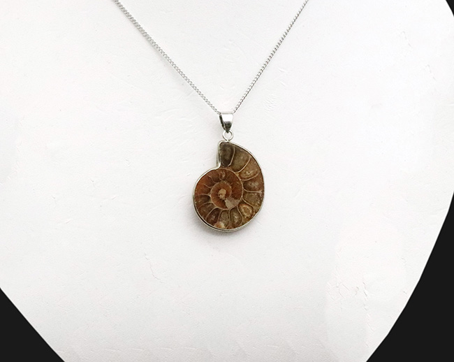 化石ファンのためにあしらわれた、個性的なジュエリー。マダガスカル産