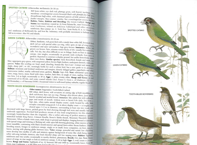 THE FIELD GUIDE TO THE BIRDS OF AUSTRALIA Hobby's World｜野鳥撮影