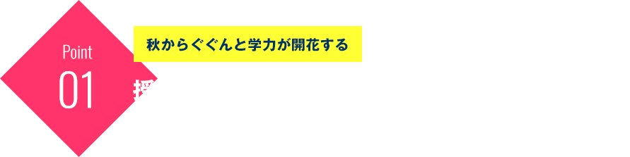 小6星光・東大寺コース | 【中学受験】偏差値アップに圧倒的合格者数