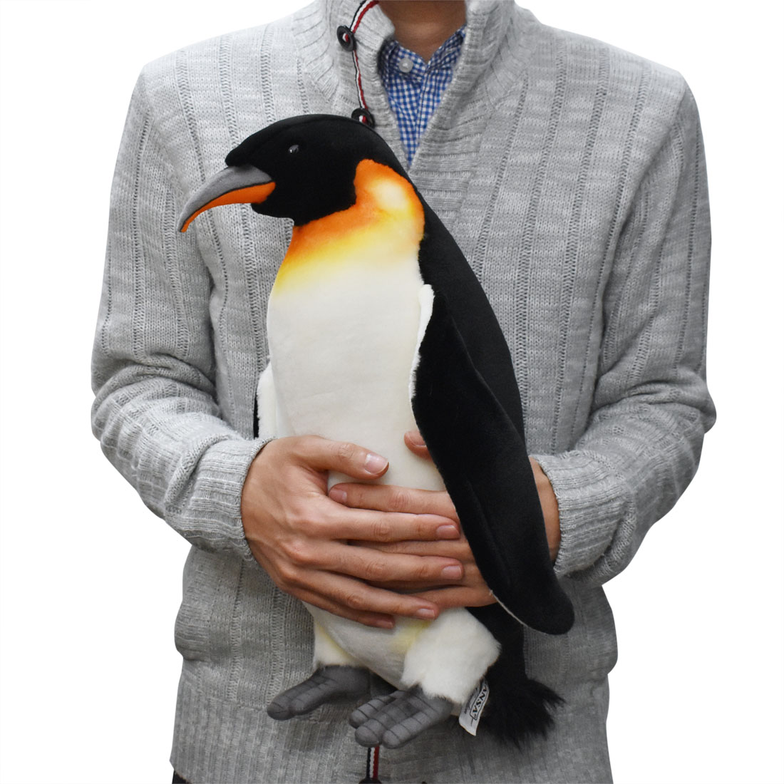 ペンギン 40 | HANSA