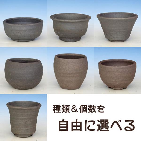 山野草の石田精華園 / 信楽焼 植木鉢 黒泥 手びねり鉢ミニ 選べる7個組