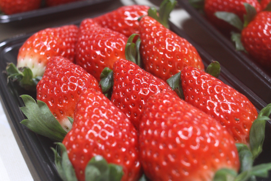 島根県産 やすぎのいちご 紅ほっぺ260g×2: しまね・うまいもんくらぶ