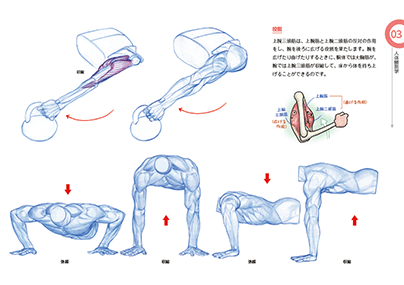 キム・ラッキの人体ドローイング | Ohmsha