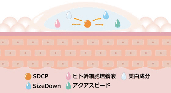 サイズダウンパーフェクトゲル