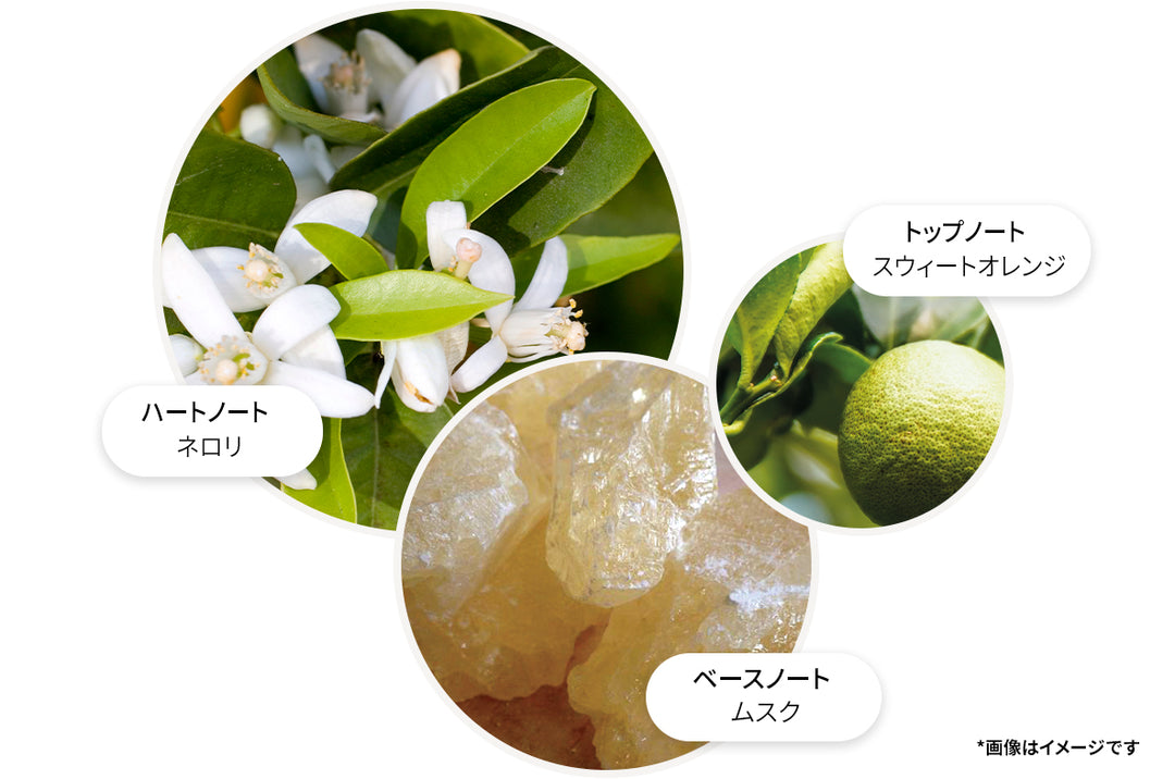 オレンジ＆ベルガモット ハンドローション 300ml – MOLTON BROWN