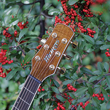 M-603 | 生産完了品 | MORRIS GUITARS モーリスギター