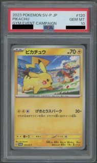 PSA10】フウロ (プロモ) {164/XY-P} [-] - magi通販【ポケモンカード専門】