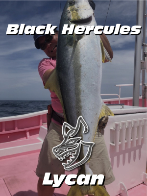 マングローブスタジオ　Black Hercules 7955S Mangrove Studio > Black Hercules /Lycan