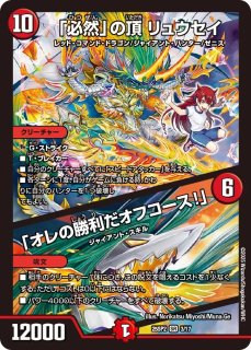 音卿の精霊龍ラフルルラブ /「未来から来る、だからミラクル