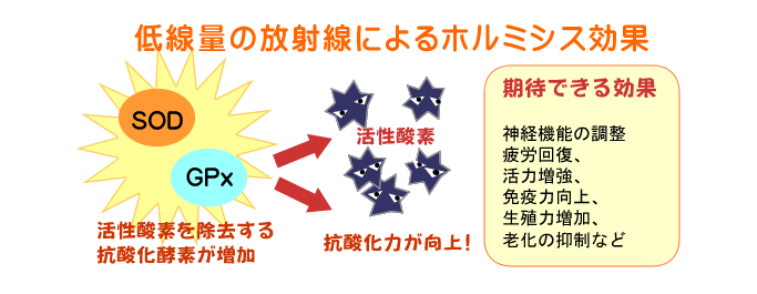 温熱療法 | ミチワクリニック｜東京都 中央区八丁堀から徒歩3分の心療内科
