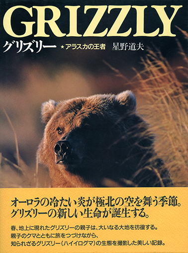 写真集 | 星野道夫事務所公式サイト