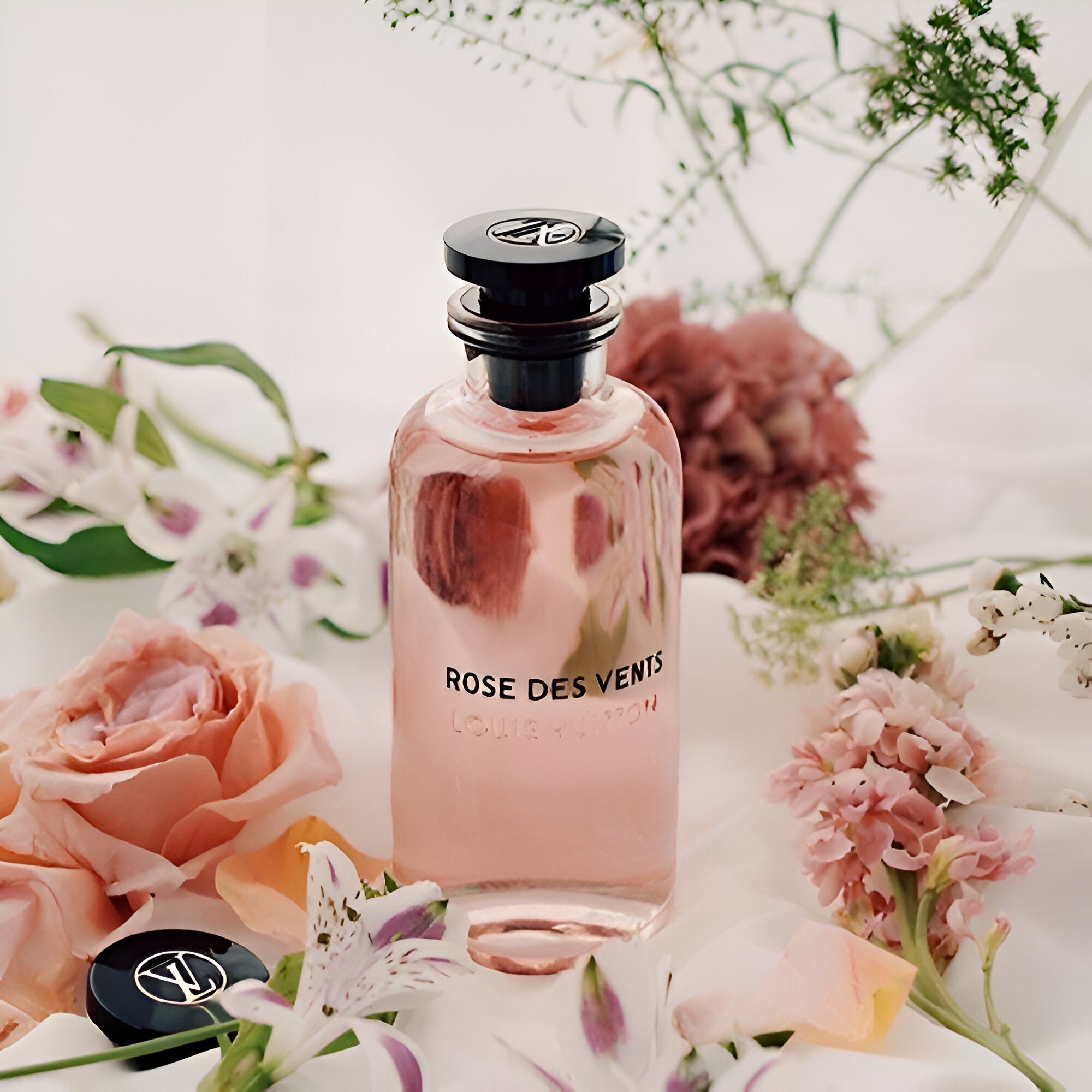 Shop Louis Vuitton Rose Des Vents EDP