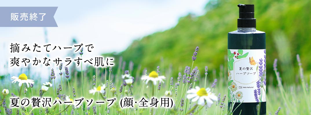 ウェブ限定】池田さんの石けん 夏の贅沢ハーブソープ 610mL（ポンプ