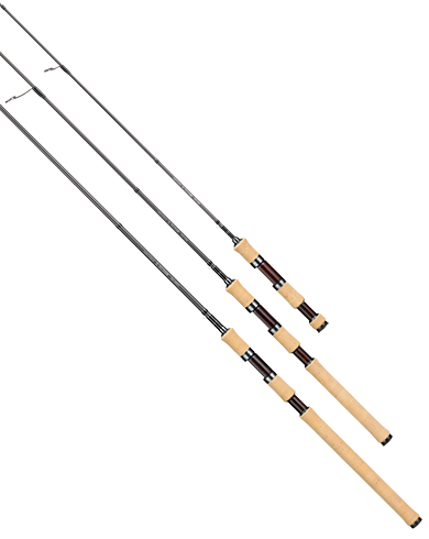 TROUTIN' SPIN IL FLUSSO