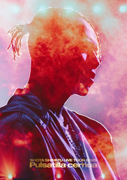 SHOTA SHIMIZU LIVE TOUR 2025 'Pulsatilla cernua'【DVD】 | 清水