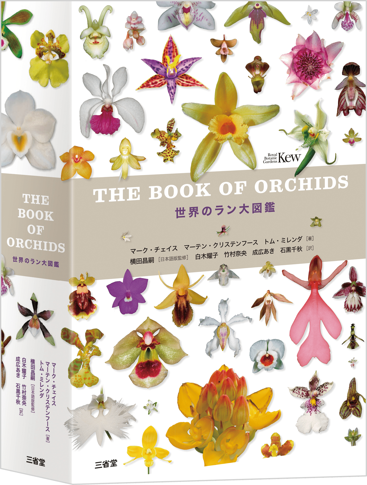 日本映画作品大事典 | 三省堂