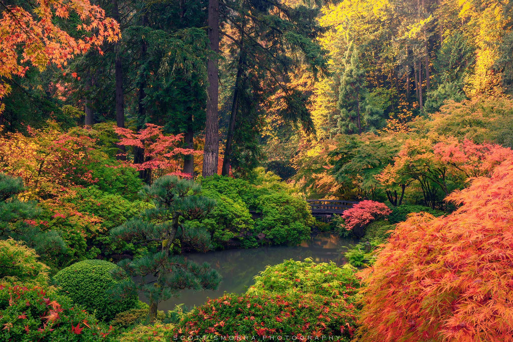 Garden Light | Portland Japanese Garden, Portland, Oregon | Scott