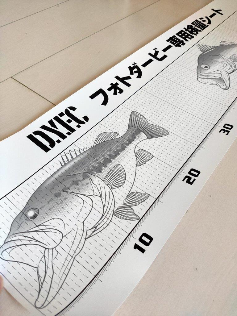 D.Y.F.C | 親子で海釣り