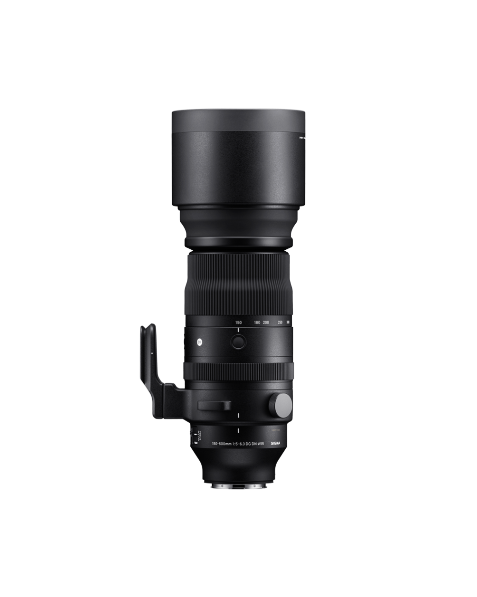 SIGMA 150-600mm F5-6.3 DG DN OS | Sports | SIGMA Corporation of
