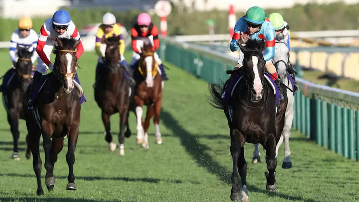 天皇賞・秋】イクイノックス 最強証明 11年ぶり天覧競馬で世界最速1分