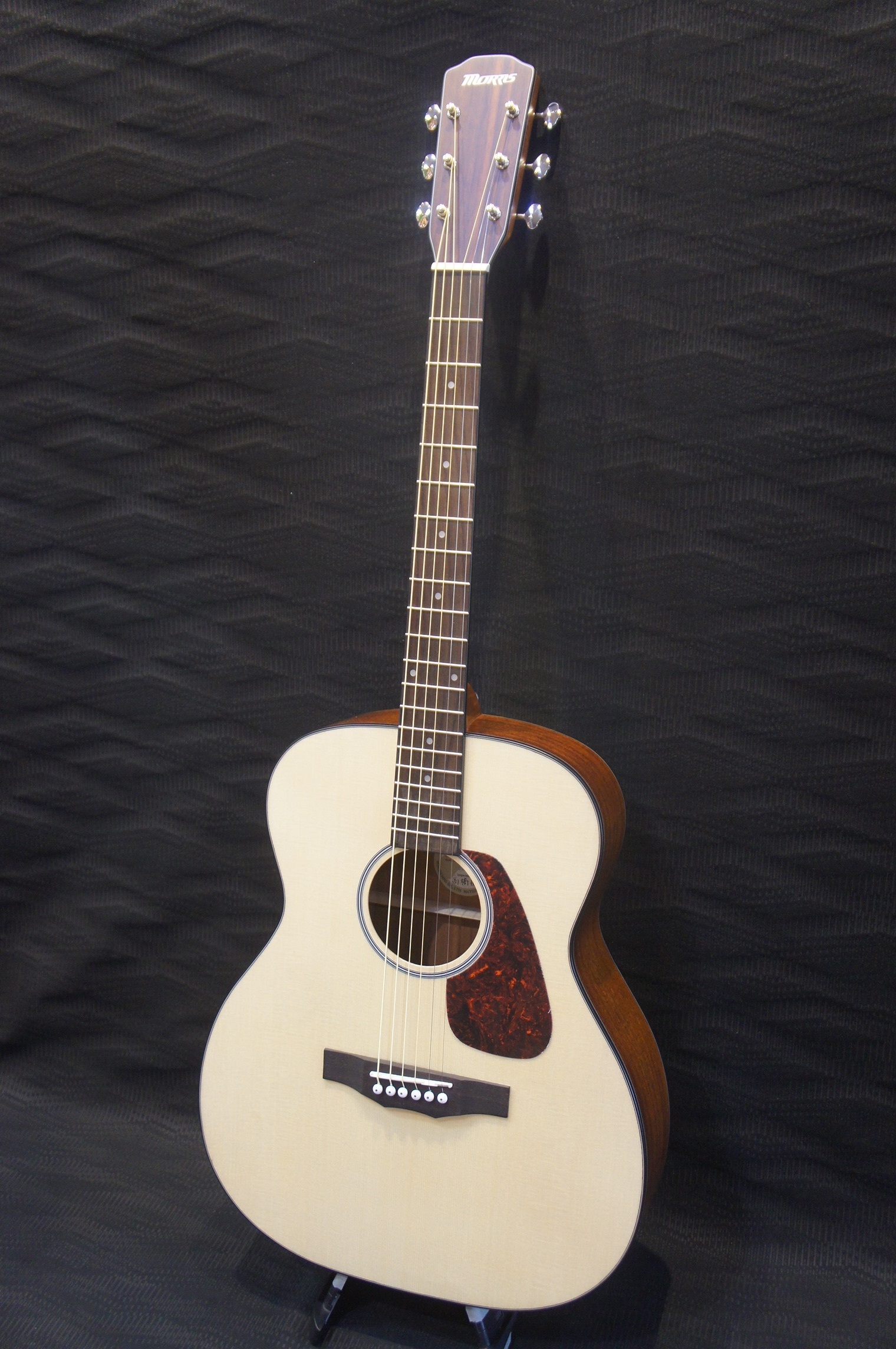 Morris F-1/NAT 商品詳細｜楽器の店ポンポロプー｜初心者から上級者