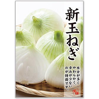 A3ポスター 新玉ねぎ: タイトルポップ｜販促物・販促通販の【POP