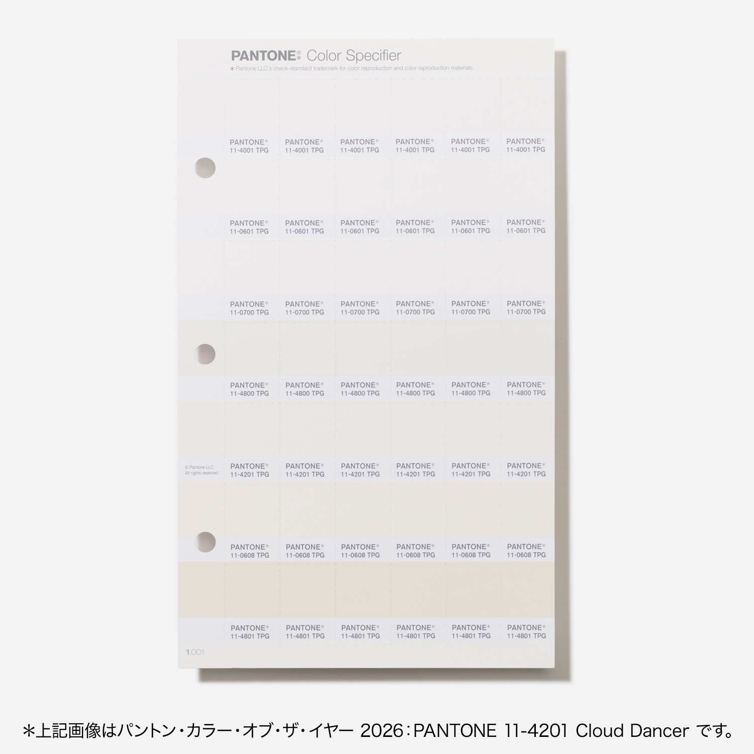 通販 オンラインショップ PANTONE パントン（パントーン）色見本帳