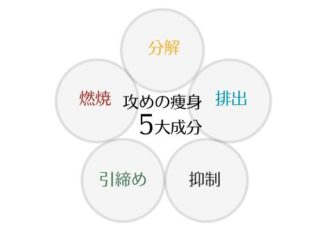 ボディスフィアセラム Pro | PREMIER BEAUTY & SPA